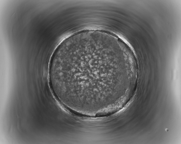 X0000085300845200703161432