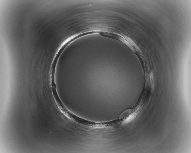 X0000085300846200703161432