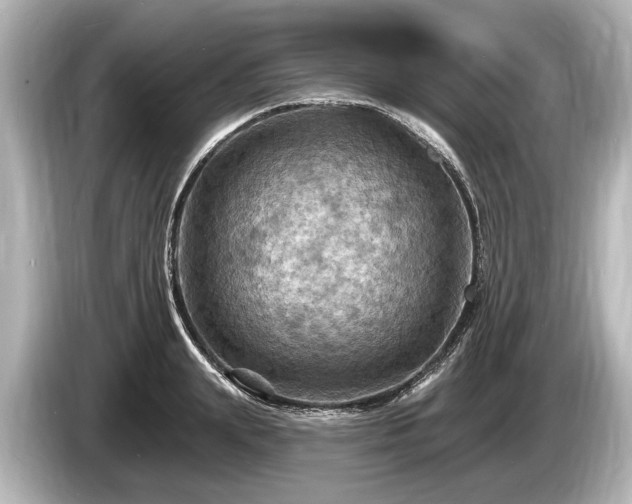 X0000085300847200703161432