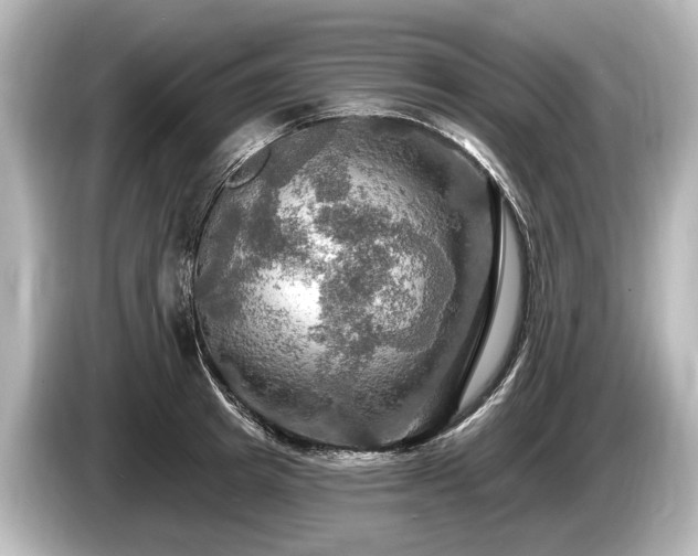 X0000085300849200703161432