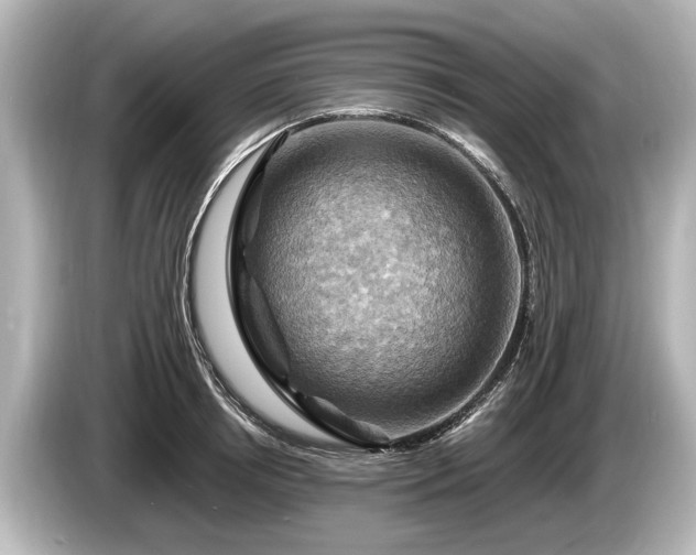 X0000085300850200703161432