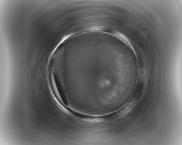 X0000085300851200703161432