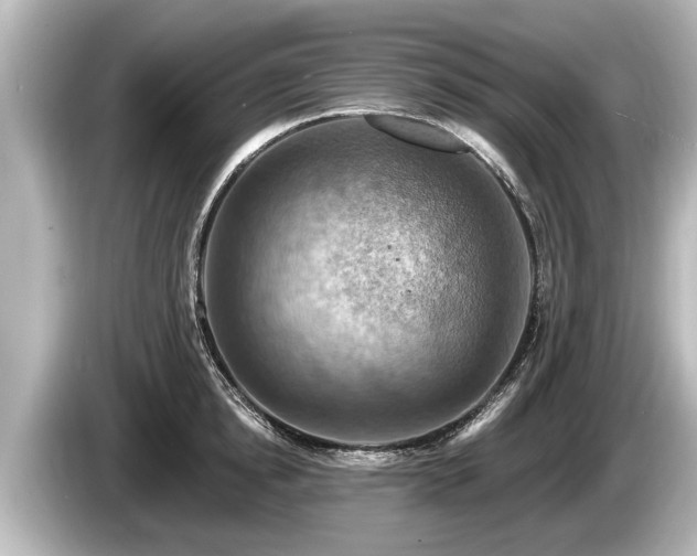 X0000085300854200703161432