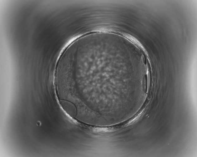 X0000085300855200703161432