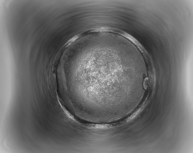 X0000085300857200703161432