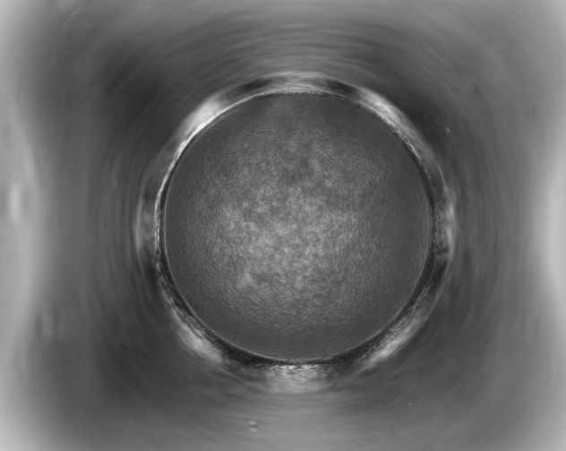 X0000085300858200703161432