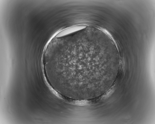 X0000085300859200703161432