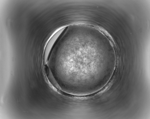 X0000085300860200703161432