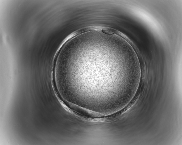 X0000085300861200703161432