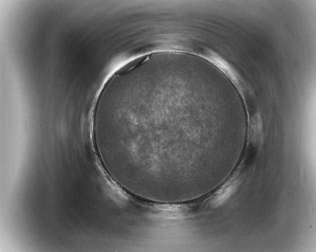 X0000085300862200703161432