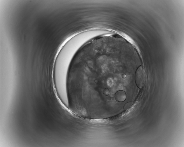 X0000085300863200703161432