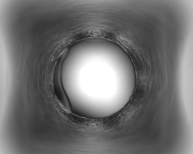 X0000085300865200703161432