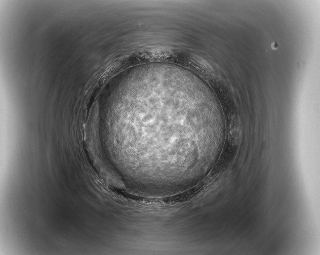 X0000085300866200703161432