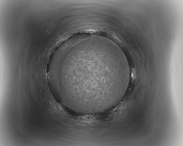 X0000085300867200703161432