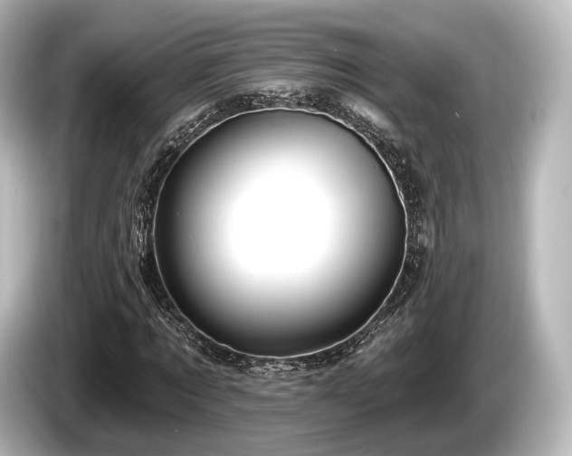 X0000085300869200703161432