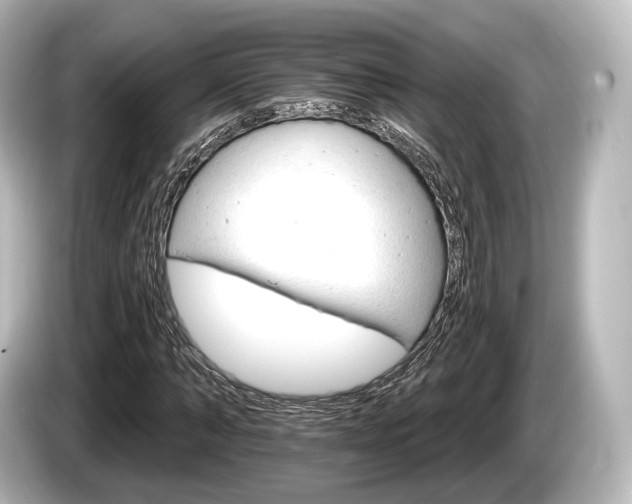 X0000085300870200703161432