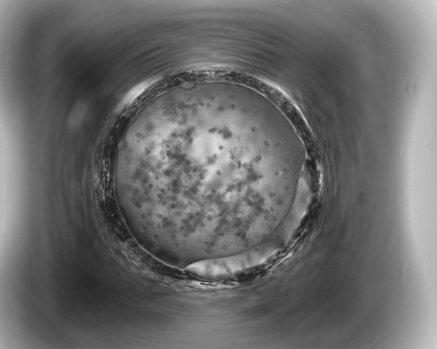 X0000085300871200703161432