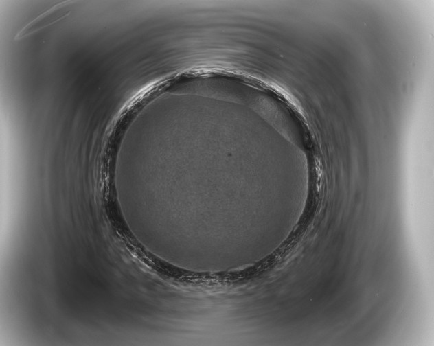 X0000085300872200703161432