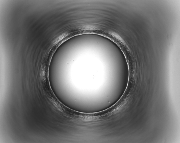 X0000085300873200703161432