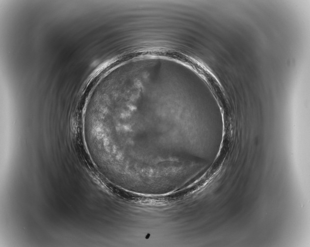 X0000085300874200703161432