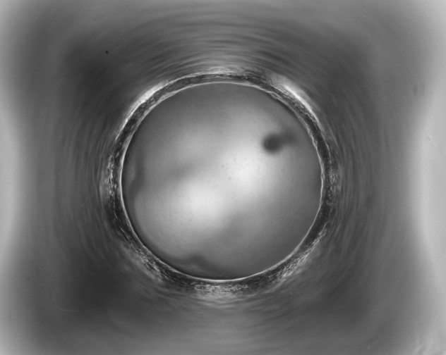 X0000085300875200703161432