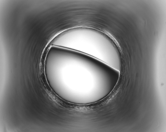 X0000085300876200703161432