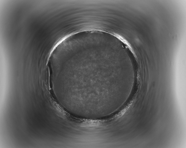 X0000085300877200703161432