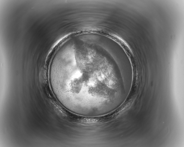 X0000085300878200703161432