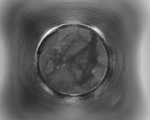 X0000085300879200703161432