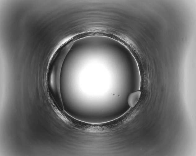 X0000085300880200703161432