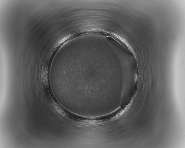 X0000085300881200703161432