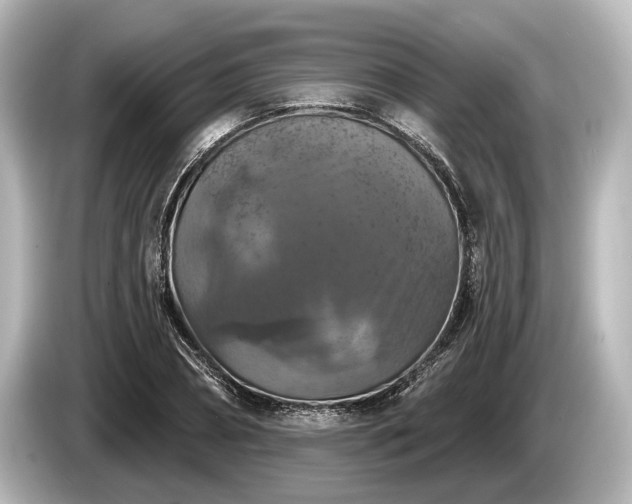 X0000085300882200703161432