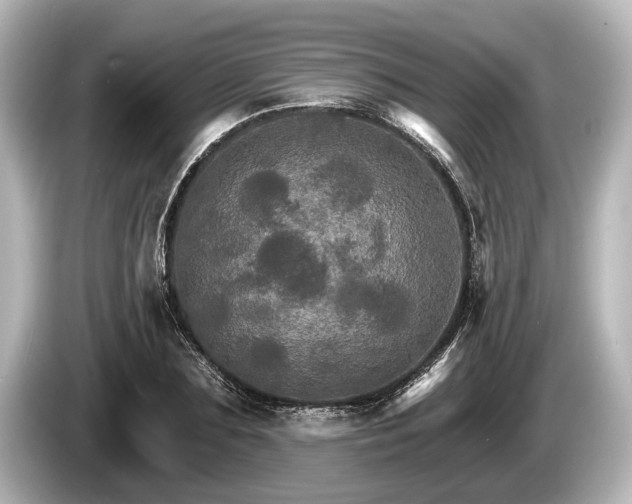 X0000085300883200703161432