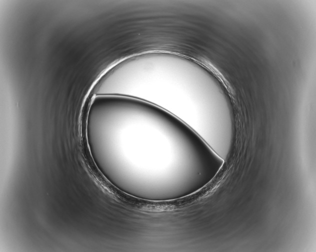 X0000085300884200703161432