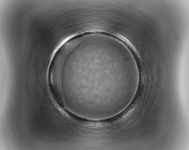 X0000085300885200703161432