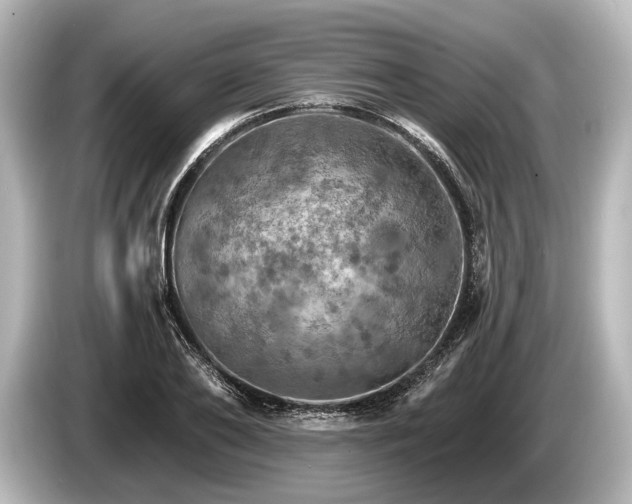 X0000085300886200703161432