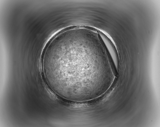 X0000085300887200703161432