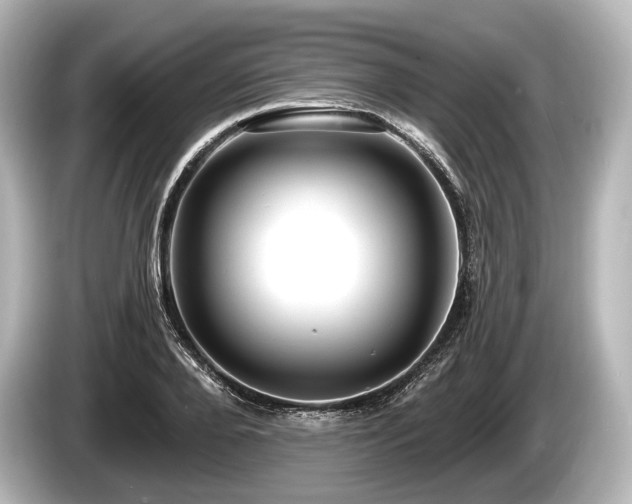 X0000085300888200703161432