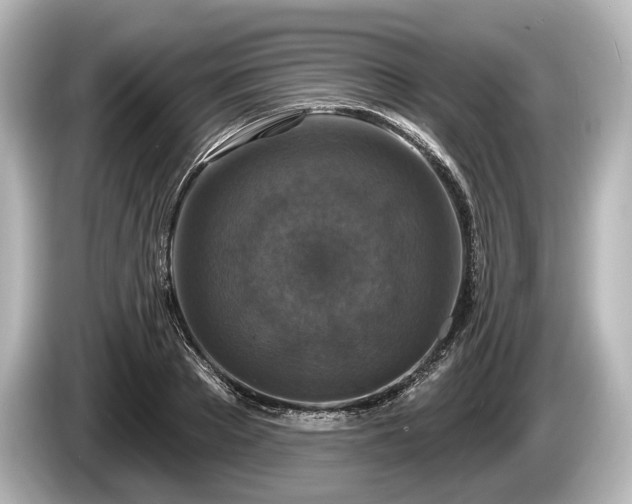 X0000085300889200703161432