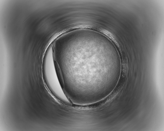 X0000085300890200703161432