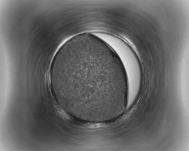 X0000085300891200703161432