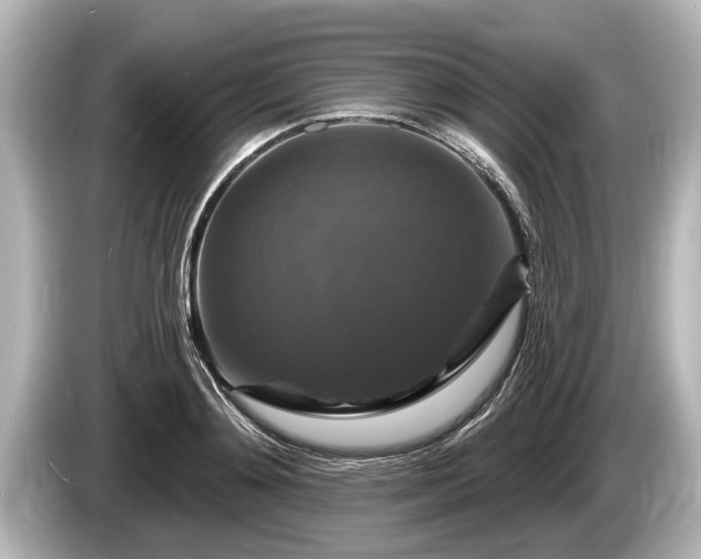 X0000085300892200703161432