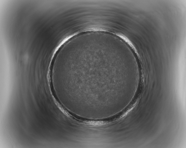 X0000085300893200703161432