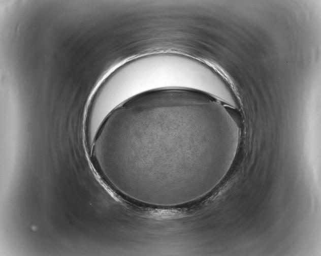 X0000085300894200703161432