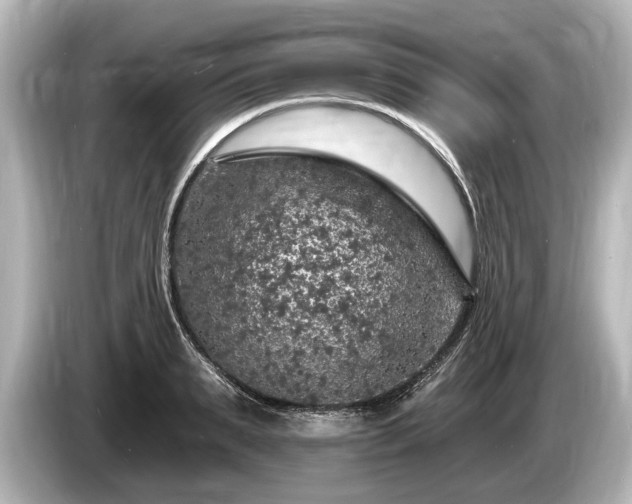 X0000085300895200703161432