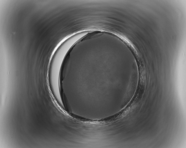 X0000085300896200703161432