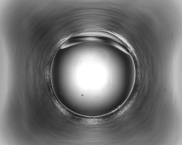 X0000085300897200703161432