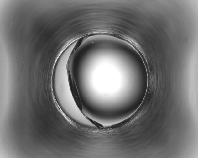 X0000085300898200703161432