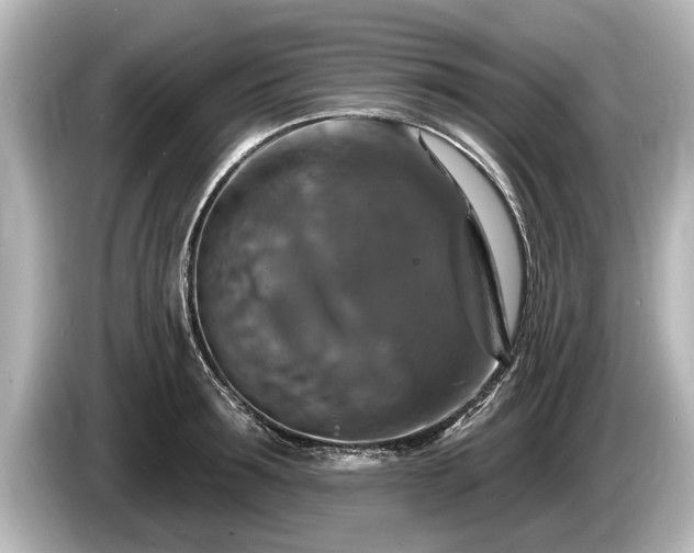 X0000085300899200703161432