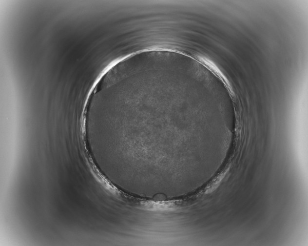 X0000085300900200703161431